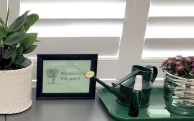 What is Montessori for Dementia and Aging?