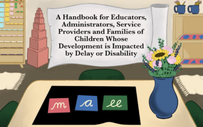The Characteristics of Montessori-Based Classroom Interventions